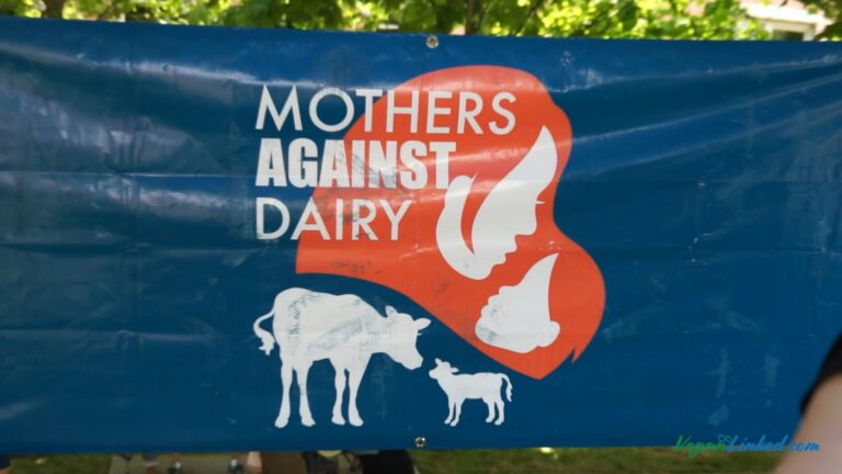Mothers-Against-Dairy.00_15_05_28.Still001