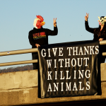 Give Thanks Without Killing Animals!