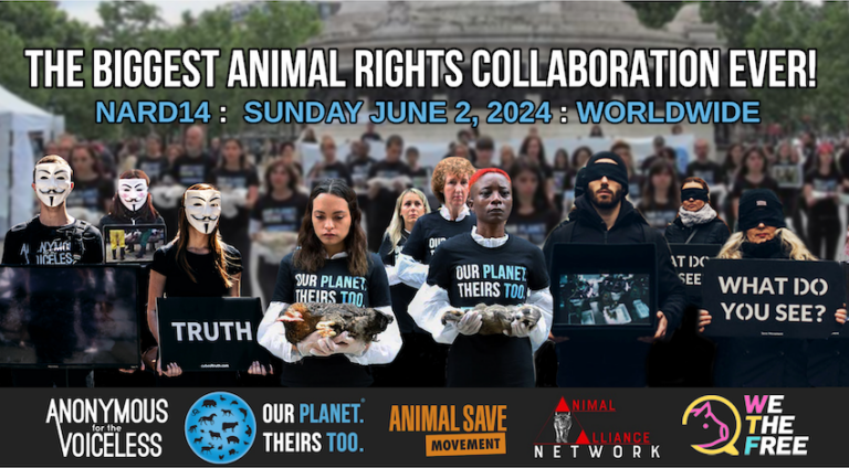 The Biggest Animal Rights Collaboration Ever 768x424